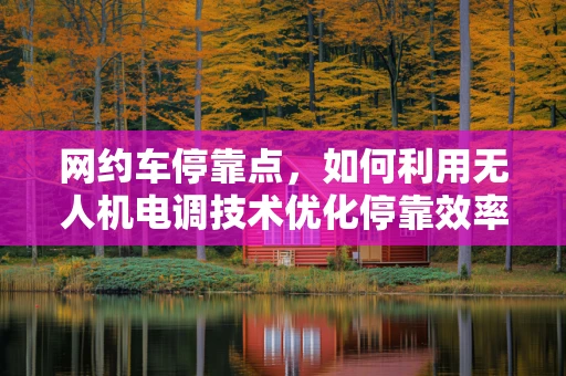 网约车停靠点，如何利用无人机电调技术优化停靠效率？