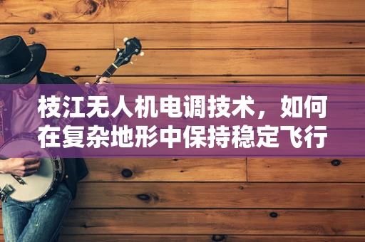 枝江无人机电调技术，如何在复杂地形中保持稳定飞行？
