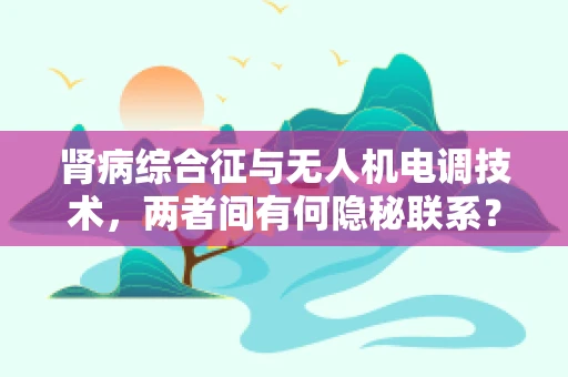 肾病综合征与无人机电调技术，两者间有何隐秘联系？