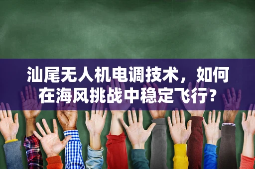 汕尾无人机电调技术，如何在海风挑战中稳定飞行？