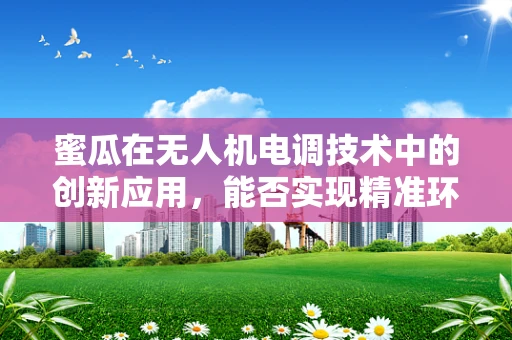 蜜瓜在无人机电调技术中的创新应用，能否实现精准环境感知？