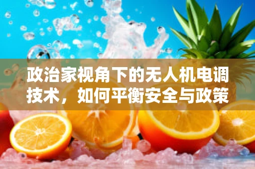 政治家视角下的无人机电调技术，如何平衡安全与政策边界？