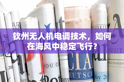 钦州无人机电调技术，如何在海风中稳定飞行？