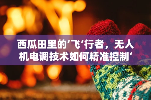 西瓜田里的‘飞’行者，无人机电调技术如何精准控制‘瓜’落何处？