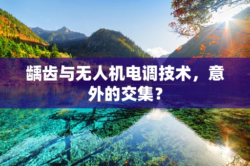 龋齿与无人机电调技术，意外的交集？