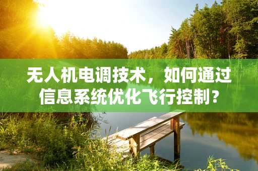 无人机电调技术，如何通过信息系统优化飞行控制？