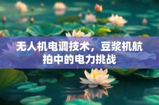 无人机电调技术，豆浆机航拍中的电力挑战