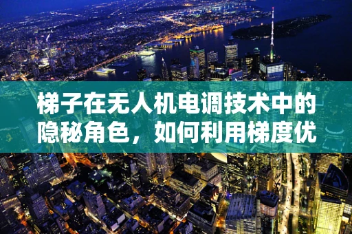 梯子在无人机电调技术中的隐秘角色，如何利用梯度优化飞行控制？
