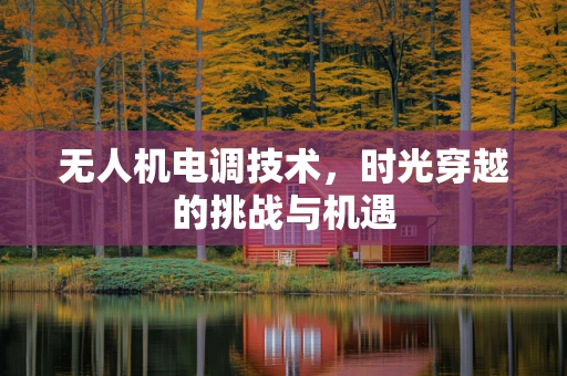 无人机电调技术，时光穿越的挑战与机遇