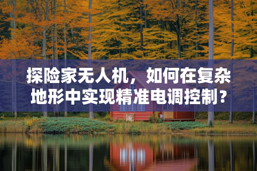 探险家无人机，如何在复杂地形中实现精准电调控制？
