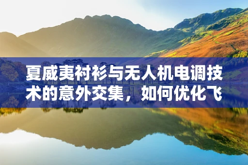 夏威夷衬衫与无人机电调技术的意外交集，如何优化飞行稳定性？