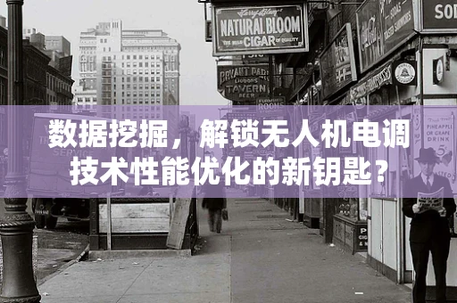 数据挖掘，解锁无人机电调技术性能优化的新钥匙？