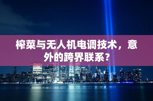 榨菜与无人机电调技术，意外的跨界联系？
