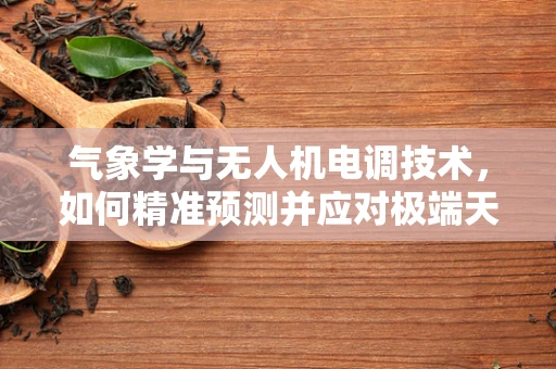 气象学与无人机电调技术，如何精准预测并应对极端天气？