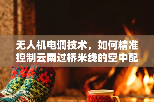 无人机电调技术，如何精准控制云南过桥米线的空中配送？