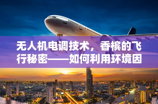 无人机电调技术，香槟的飞行秘密——如何利用环境因素优化性能？