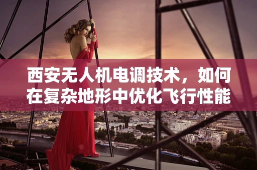 西安无人机电调技术，如何在复杂地形中优化飞行性能？