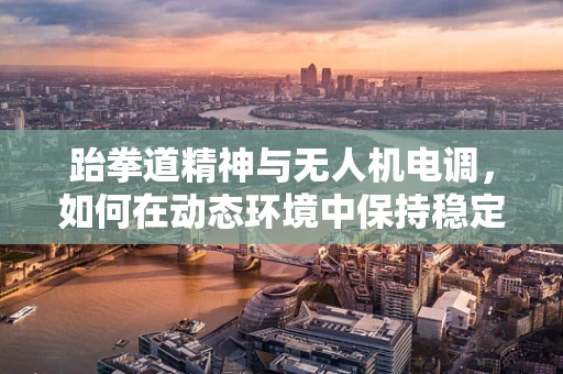 跆拳道精神与无人机电调，如何在动态环境中保持稳定？