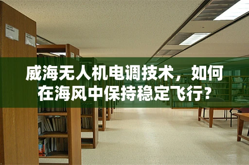 威海无人机电调技术，如何在海风中保持稳定飞行？