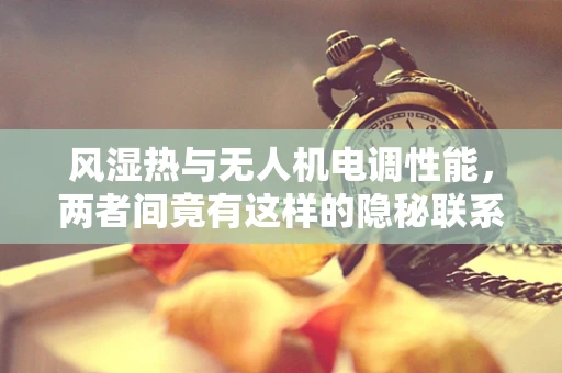 风湿热与无人机电调性能，两者间竟有这样的隐秘联系？