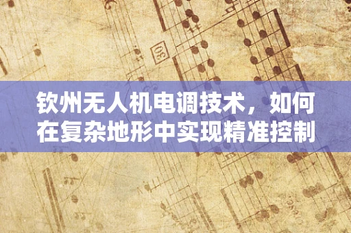 钦州无人机电调技术，如何在复杂地形中实现精准控制？