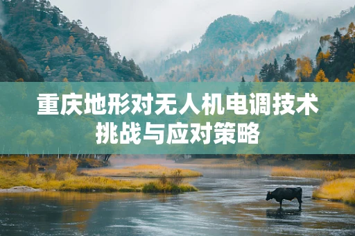重庆地形对无人机电调技术挑战与应对策略