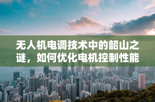 无人机电调技术中的韶山之谜，如何优化电机控制性能？