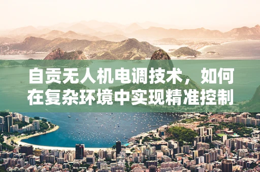 自贡无人机电调技术，如何在复杂环境中实现精准控制？