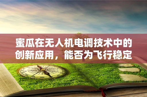 蜜瓜在无人机电调技术中的创新应用，能否为飞行稳定性带来甜蜜惊喜？