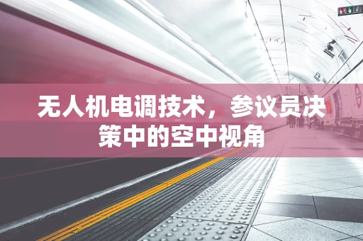 无人机电调技术，参议员决策中的空中视角