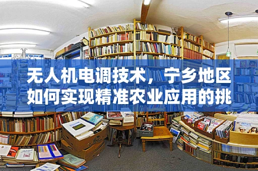 无人机电调技术，宁乡地区如何实现精准农业应用的挑战与对策？