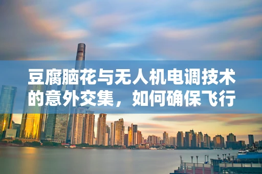 豆腐脑花与无人机电调技术的意外交集，如何确保飞行稳定性？