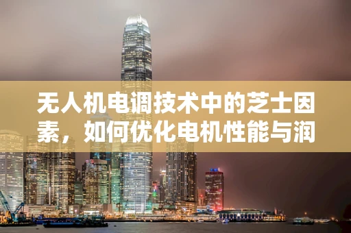 无人机电调技术中的芝士因素，如何优化电机性能与润滑？