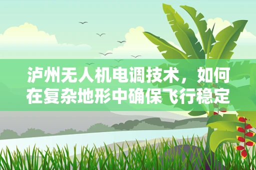泸州无人机电调技术，如何在复杂地形中确保飞行稳定？