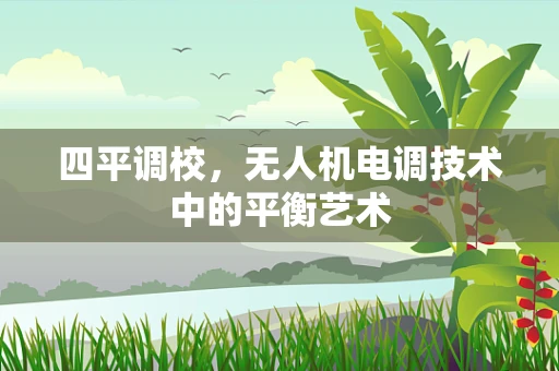 四平调校，无人机电调技术中的平衡艺术