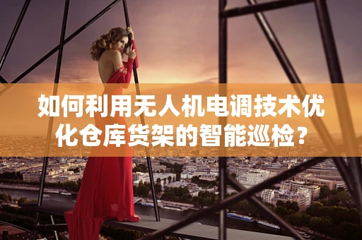 如何利用无人机电调技术优化仓库货架的智能巡检？