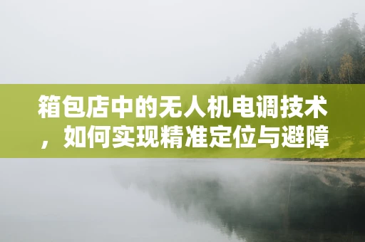 箱包店中的无人机电调技术，如何实现精准定位与避障？