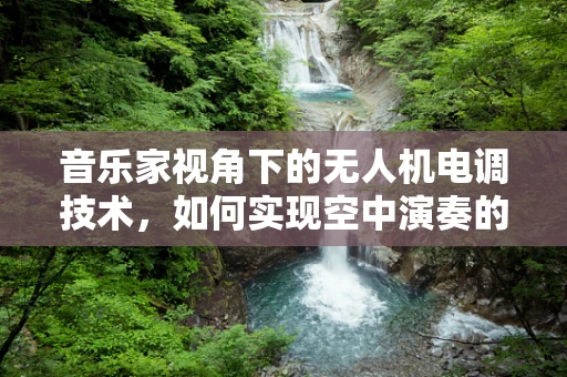 音乐家视角下的无人机电调技术，如何实现空中演奏的精准控制？