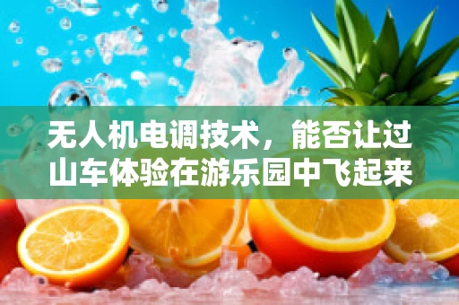 无人机电调技术，能否让过山车体验在游乐园中飞起来？
