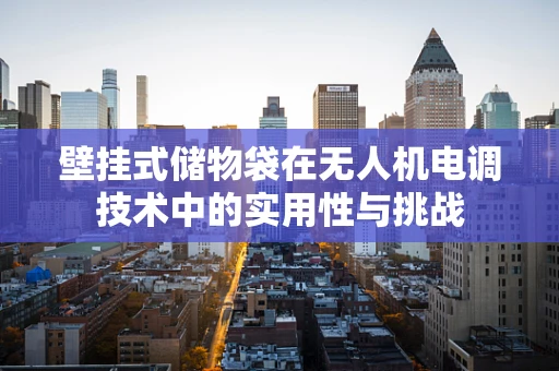 壁挂式储物袋在无人机电调技术中的实用性与挑战