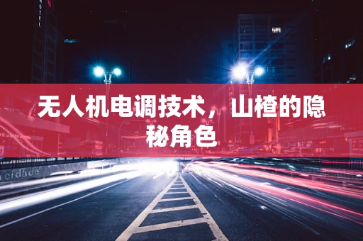 无人机电调技术，山楂的隐秘角色