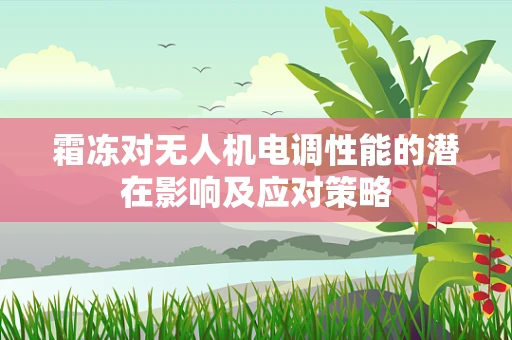 霜冻对无人机电调性能的潜在影响及应对策略