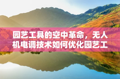 园艺工具的空中革命，无人机电调技术如何优化园艺工具的精准操控？