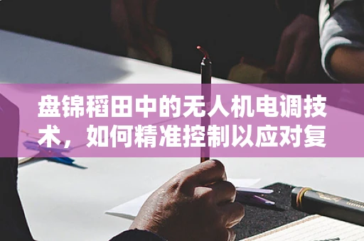 盘锦稻田中的无人机电调技术，如何精准控制以应对复杂地形挑战？