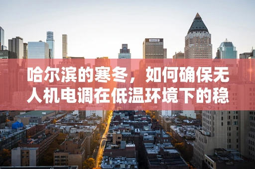 哈尔滨的寒冬，如何确保无人机电调在低温环境下的稳定运行？