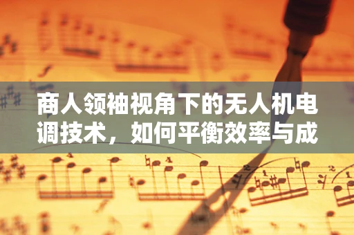 商人领袖视角下的无人机电调技术，如何平衡效率与成本控制？