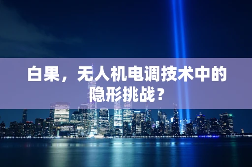 白果，无人机电调技术中的隐形挑战？