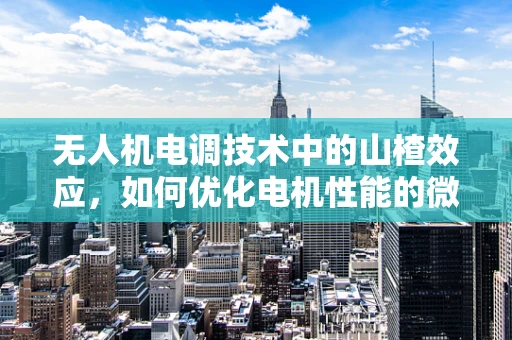 无人机电调技术中的山楂效应，如何优化电机性能的微妙平衡？