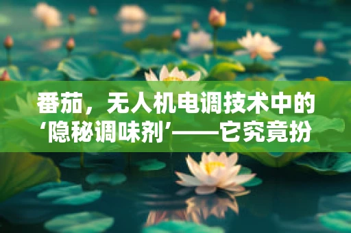 番茄，无人机电调技术中的‘隐秘调味剂’——它究竟扮演了什么角色？