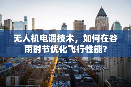 无人机电调技术，如何在谷雨时节优化飞行性能？
